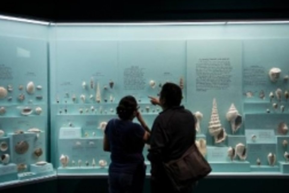 Museus dos Estados Unidos lançam 'coleção em 3D'