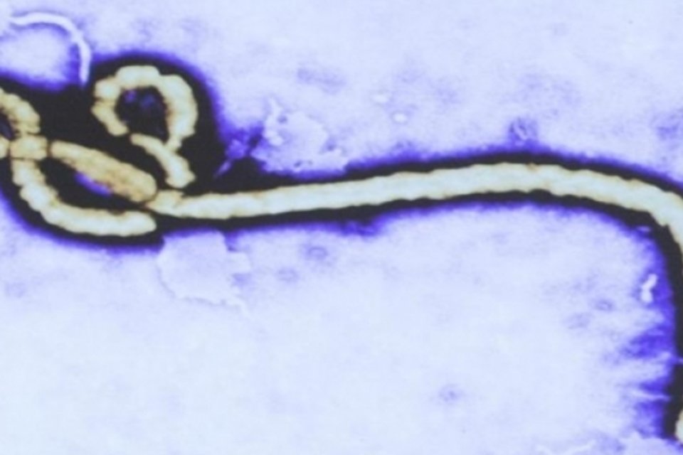 Ebola: testes de paciente internado em Portugal dão negativo