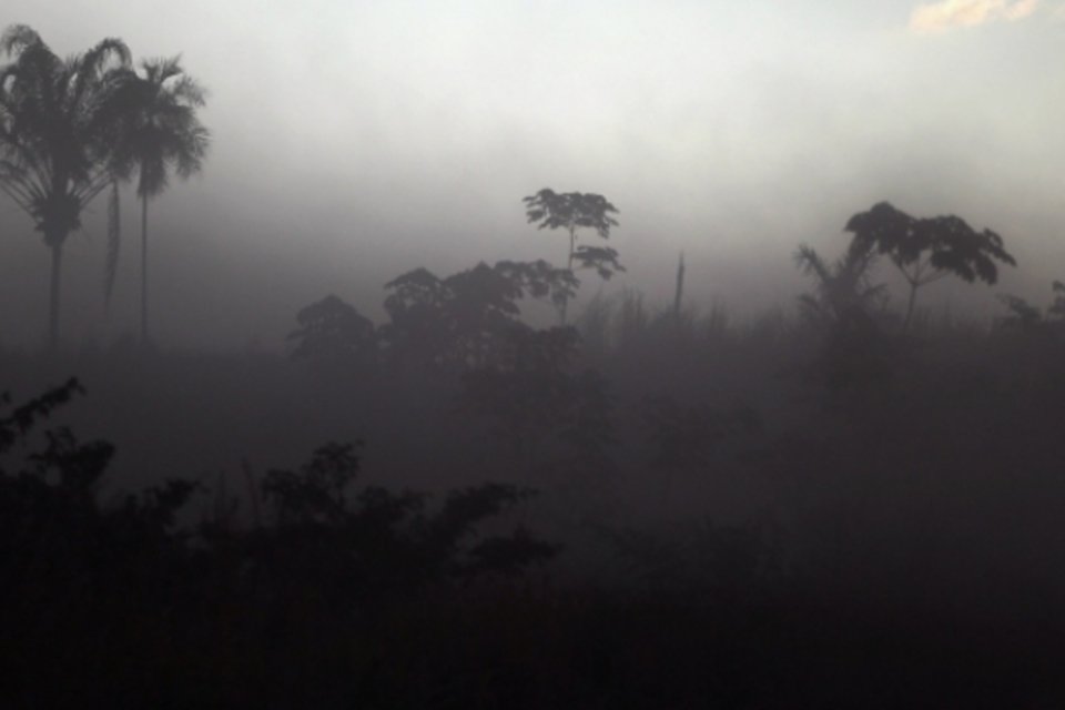 Desmatamento da Amazônia aumenta poluição em países da América do Sul
