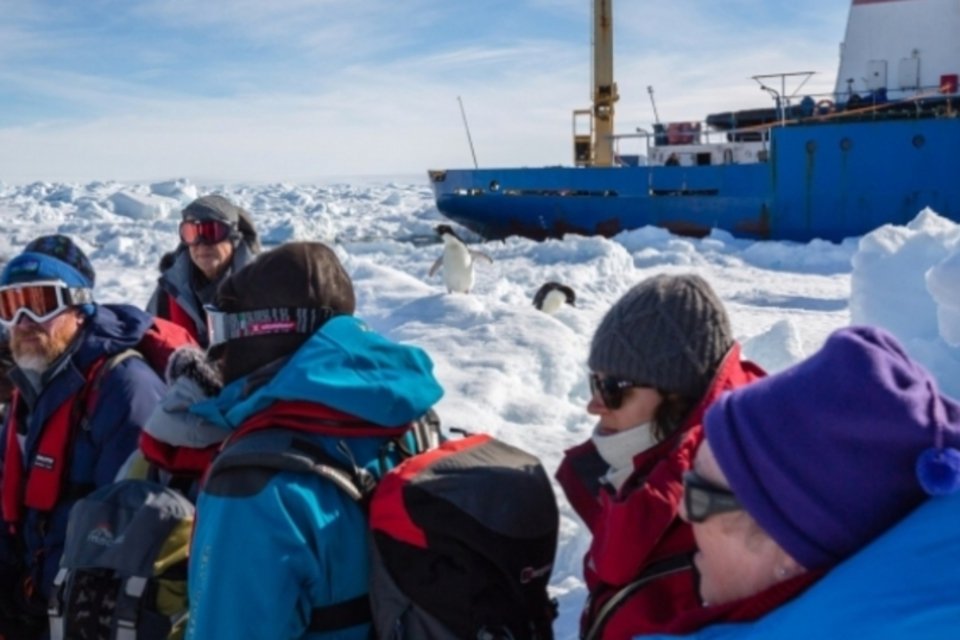Desenvolvimento do turismo na Antártida preocupa cientistas