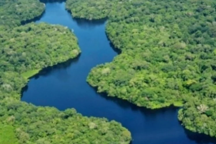 amazônia (Reprodução)