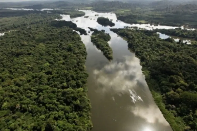 amazônia (Getty Images)