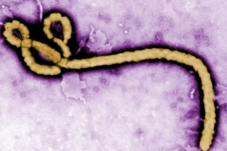 Ebola (Reuters)
