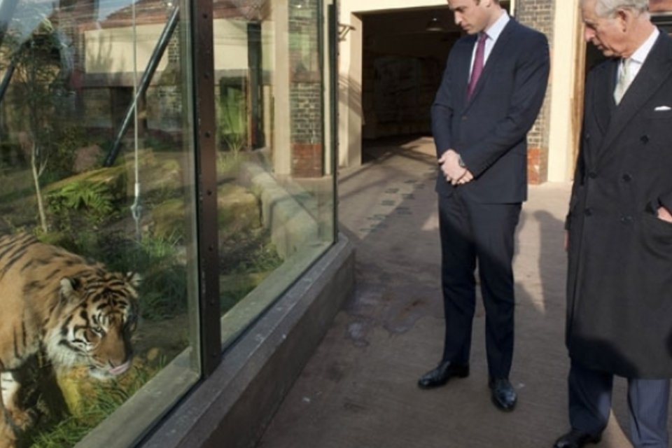 Príncipes Charles e William lutam contra comércio ilegal de animais