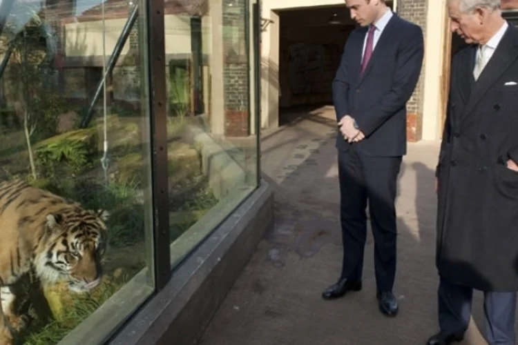 Prince Charles