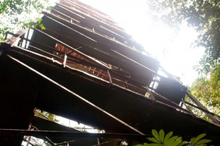 GOAmazon (Agência FAPESP)