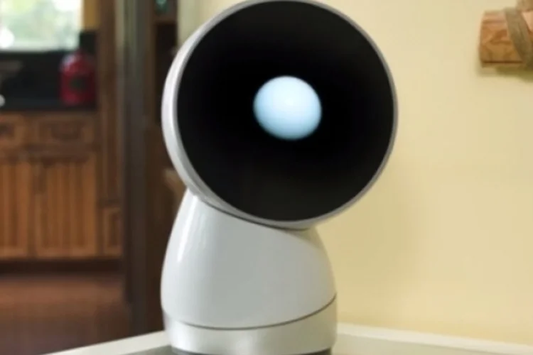 Jibo (Reprodução/YouTube)