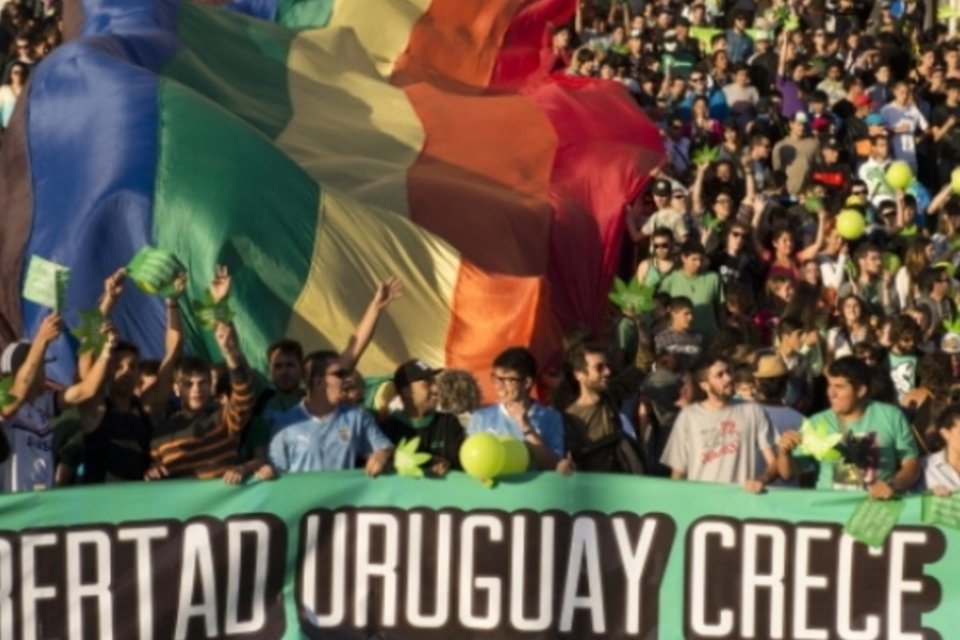 Militantes comemoram legalização da maconha no Uruguai