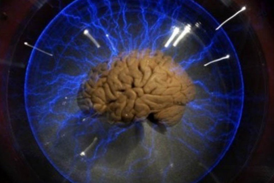 Grupo criará mapa tridimensional do cérebro humano