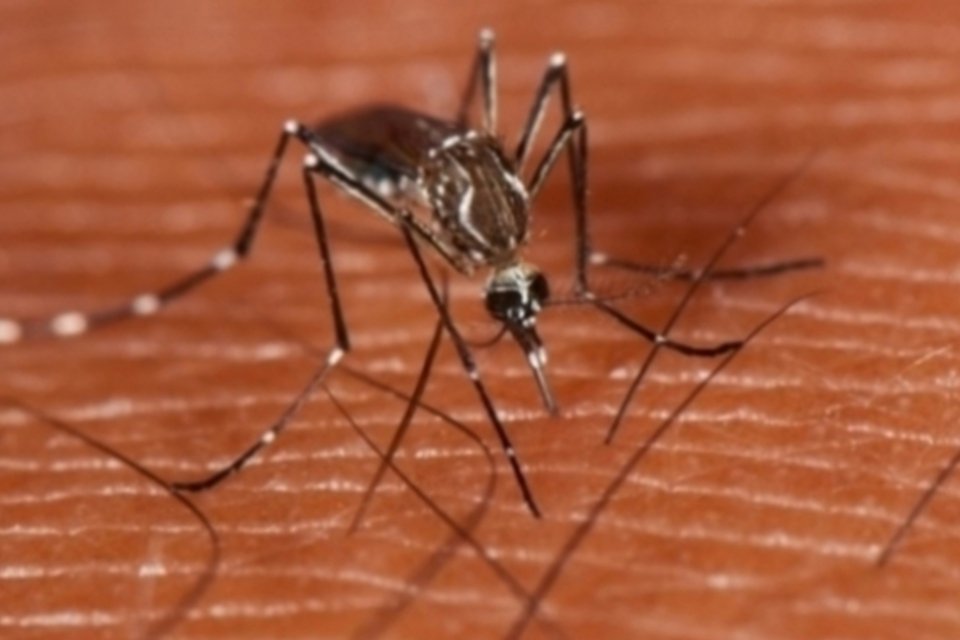 Jaú registra 3 mil casos de dengue e sete mortes