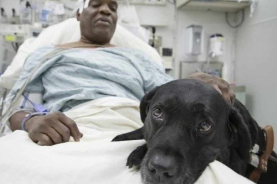 Internautas evitam separação entre cego e cão-guia após acidente