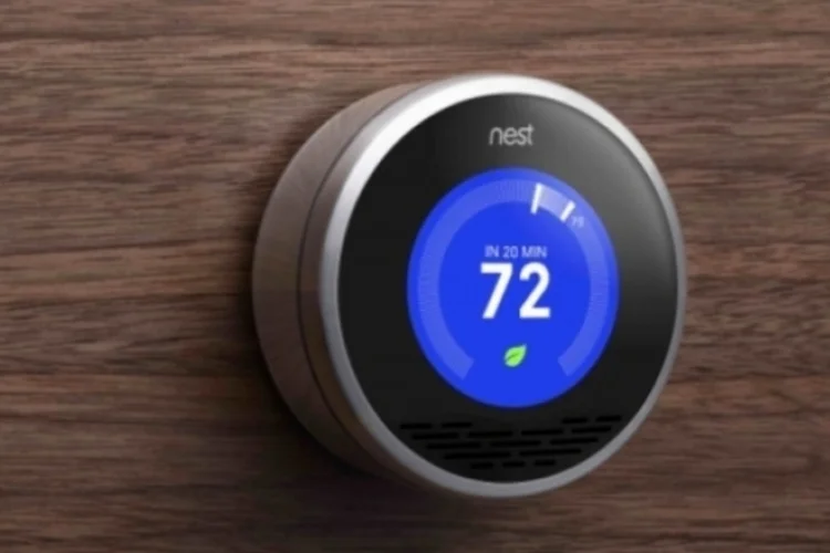 Nest (Divulgação)