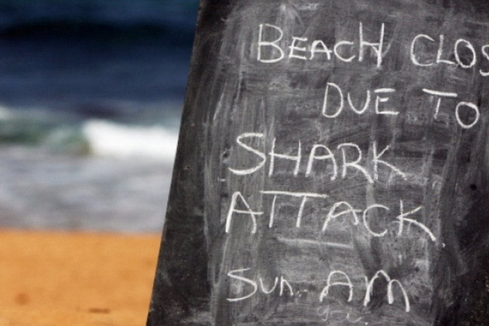 Austrália cogita sacrificar tubarões com mais de 3 metros de comprimento
