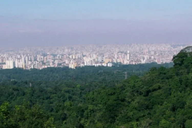 serra da cantareira (Wikimedia Commons)