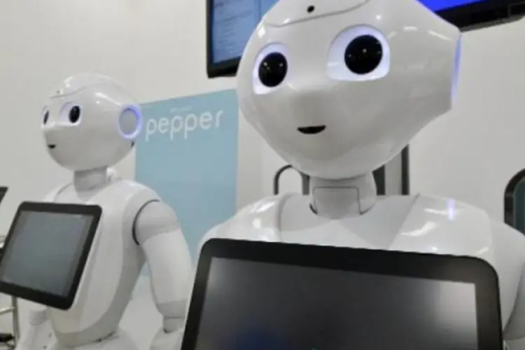 Pepper (afp.com)