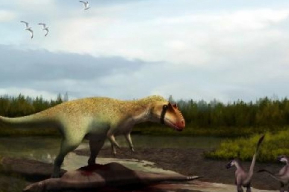 Nova espécie de dinossauro é descoberta nos EUA