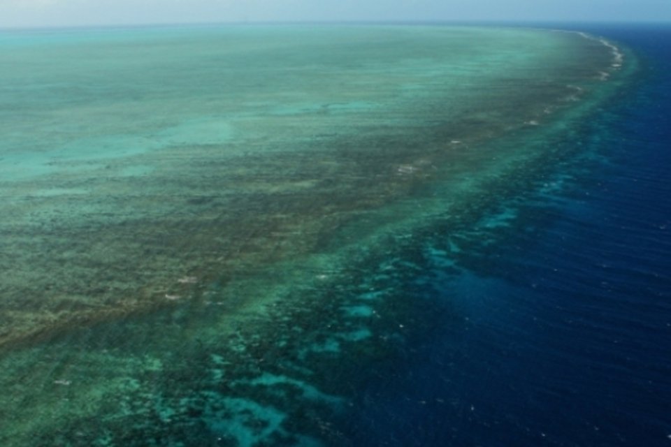 Cientistas criam primeiro mapa digital da Grande Barreira de Corais