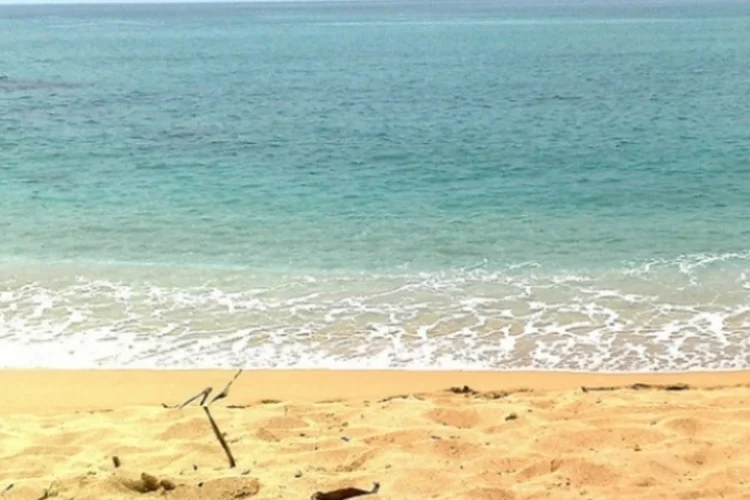 Praia (theCarol)