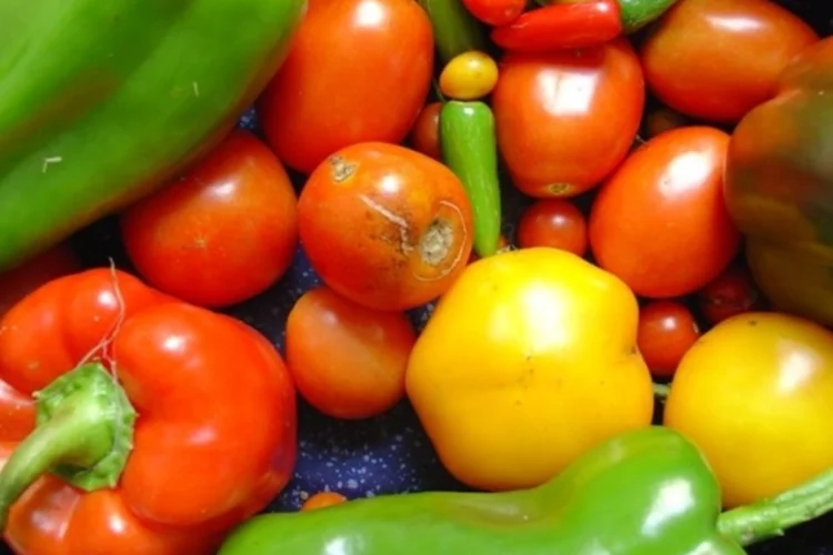 Vegetais (Wikimedia)