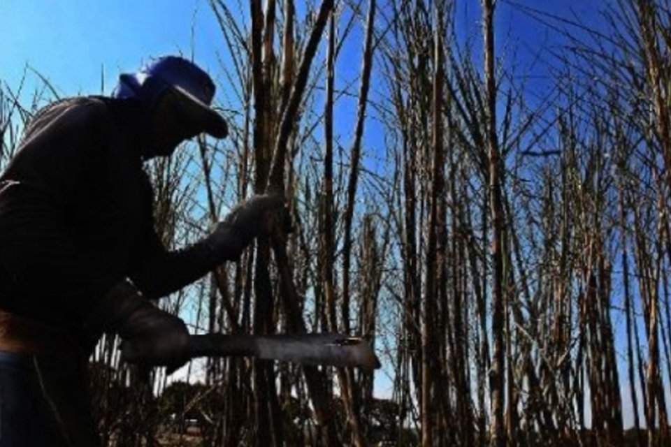 Etanol de cana atravessa crise no Brasil, apesar da demanda alta