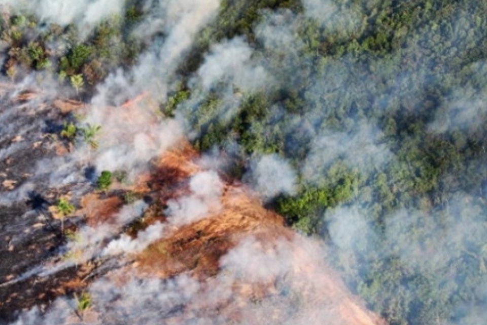 Leis sobre mudanças climáticas foram aprovadas em 15 estados