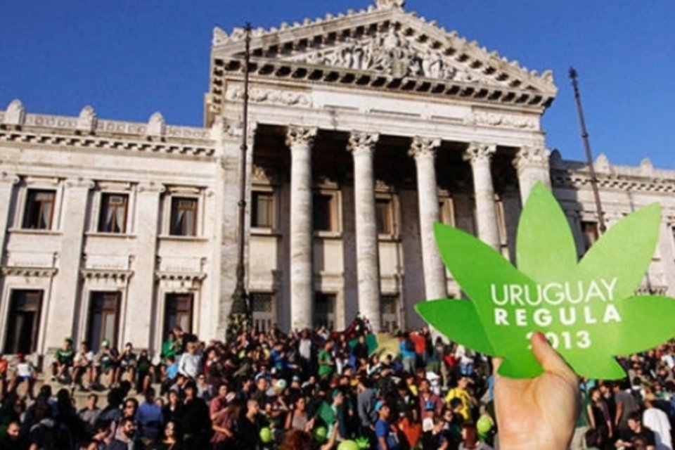 Uruguai aprova Lei da Maconha