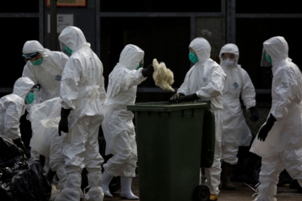 Confirmada primeira morte por gripe aviária na China em 2015
