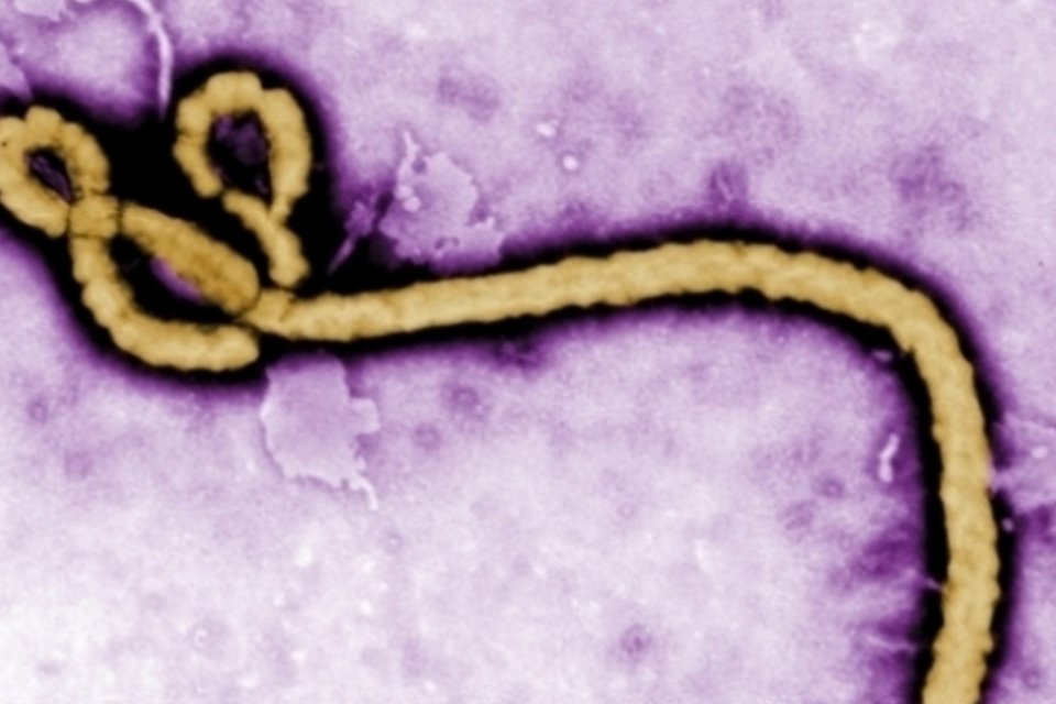 Médico norte-americano está livre do vírus ebola
