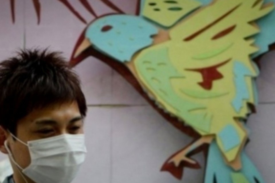China registra morte por nova cepa da gripe aviária