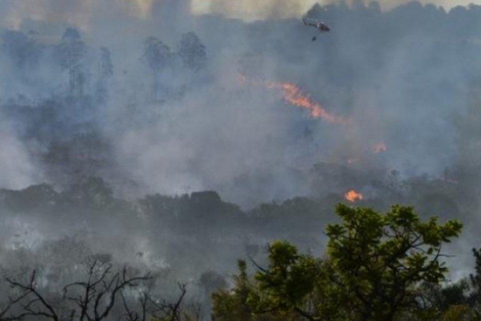 Incêndio atinge reserva ecológica do Jardim Botânico de Brasília