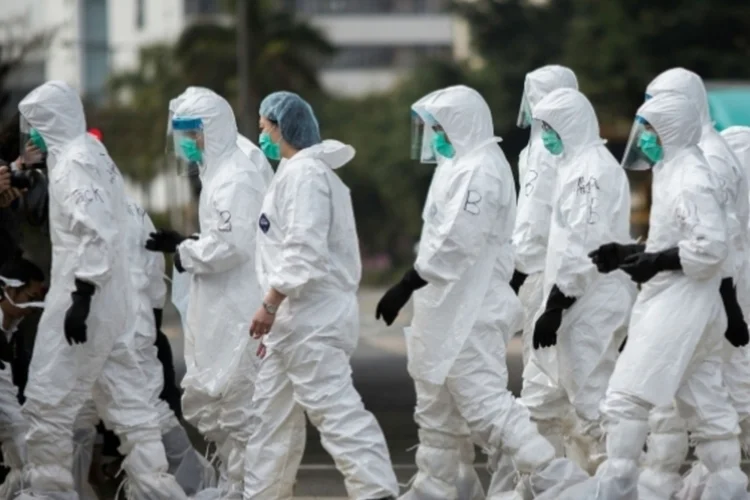 Vírus H5N8 foi encontrado em mais de 500 aves selvagens na Alemanha nas últimas semanas (Getty Images)
