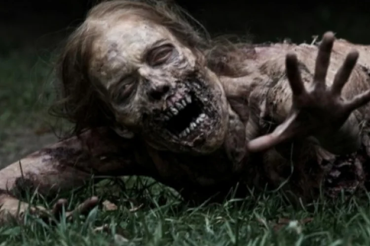 the walking dead (Divulgação)