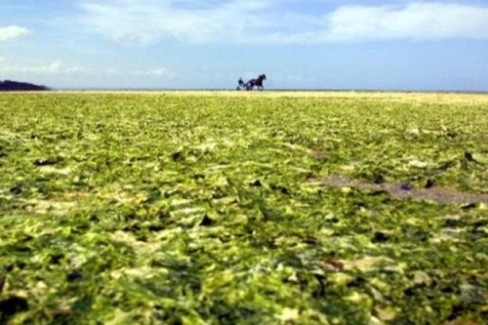 Nitrato de fertilizantes fica por décadas no solo, alerta estudo