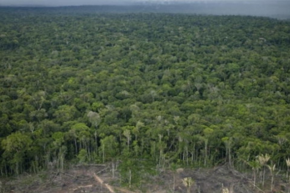 Amazônia pode perder 70% da área, aponta IPCC