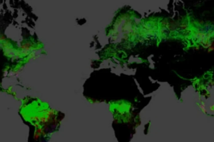 Mapa do desmatamento (Reprodução)