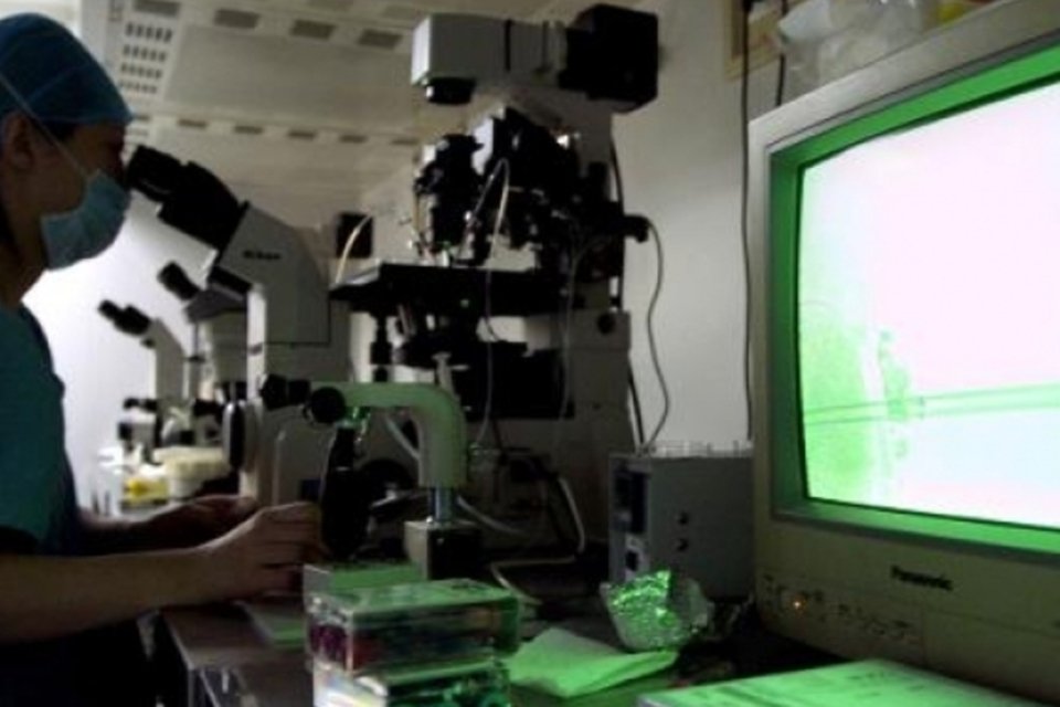 Cientistas revelam segredo que faz óvulo atrair espermatozoide