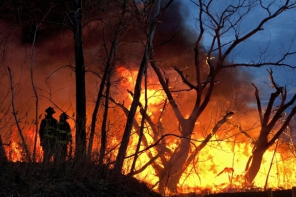 Incêndio destrói 10 hectares de mata em Ribeirão Preto