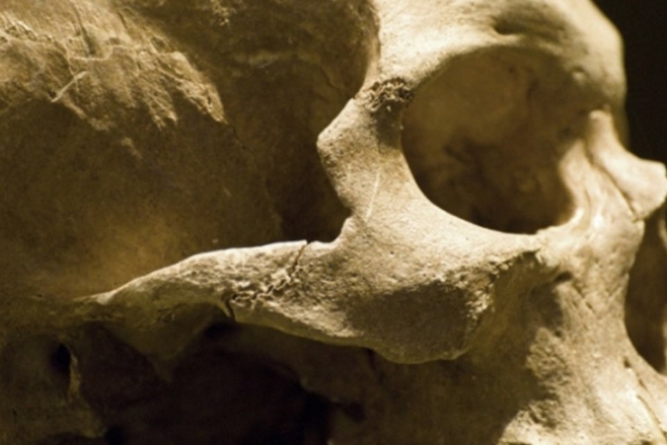 Unicamp terá maior museu de ossos humanos do país