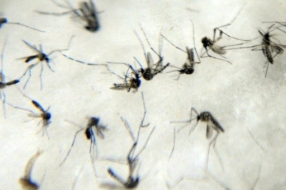 Sumaré-SP confirma duas mortes por dengue em março