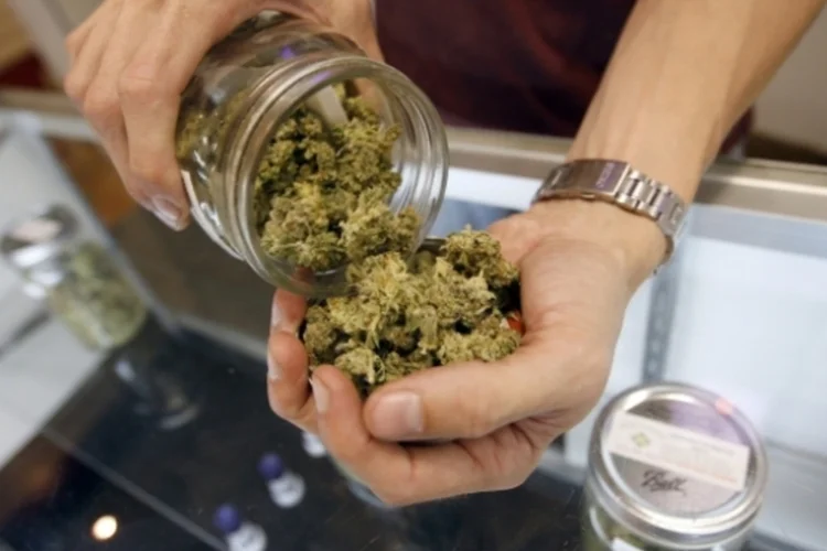 Fundação Oswaldo Cruz vai desenvolver um projeto de pesquisa para o uso medicinal da maconha (David McNew/Getty Images)