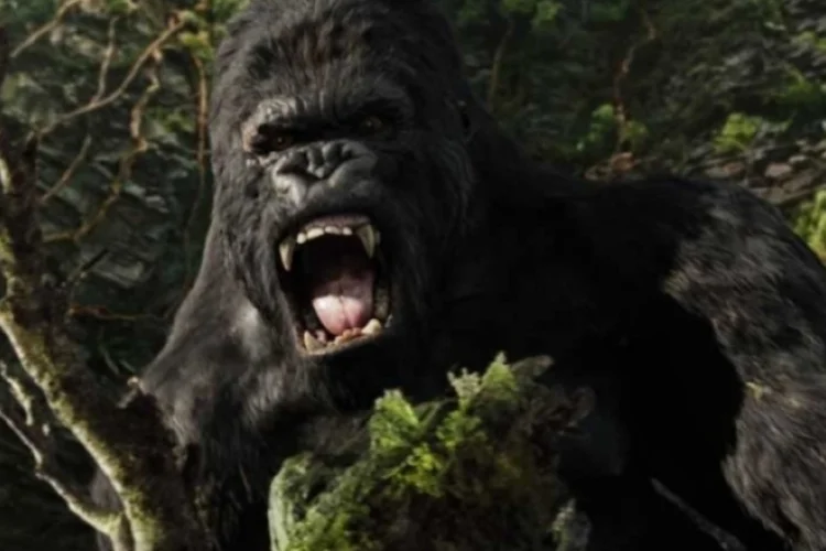 king-kong (Reprodução)