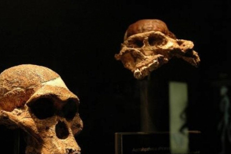 Conheça o "Little Foot", o australopiteco sul-africano que pode ter sido nosso antepassado