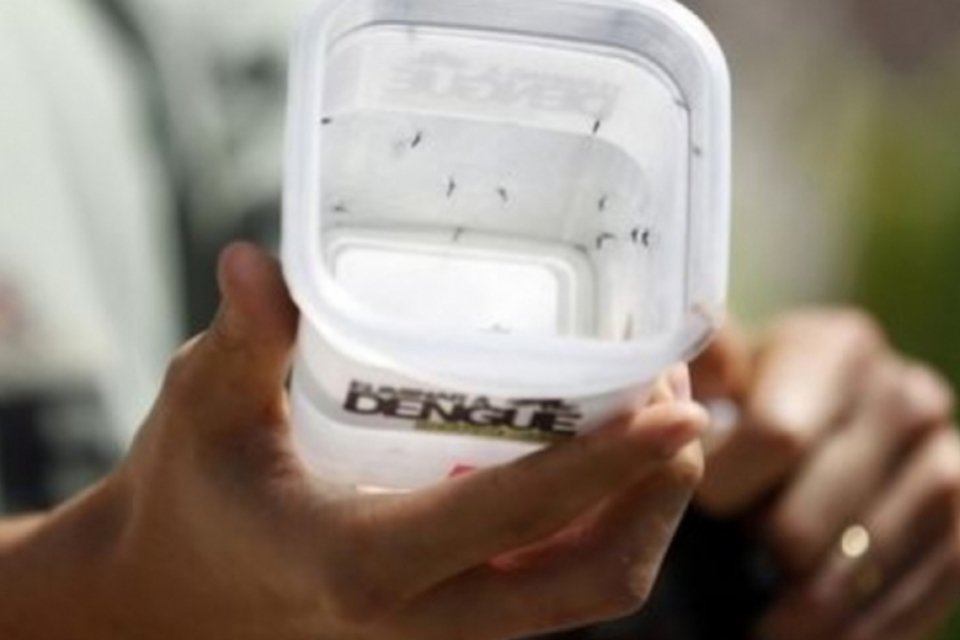 Nova vacina contra a dengue reduz 95% dos casos graves da doença