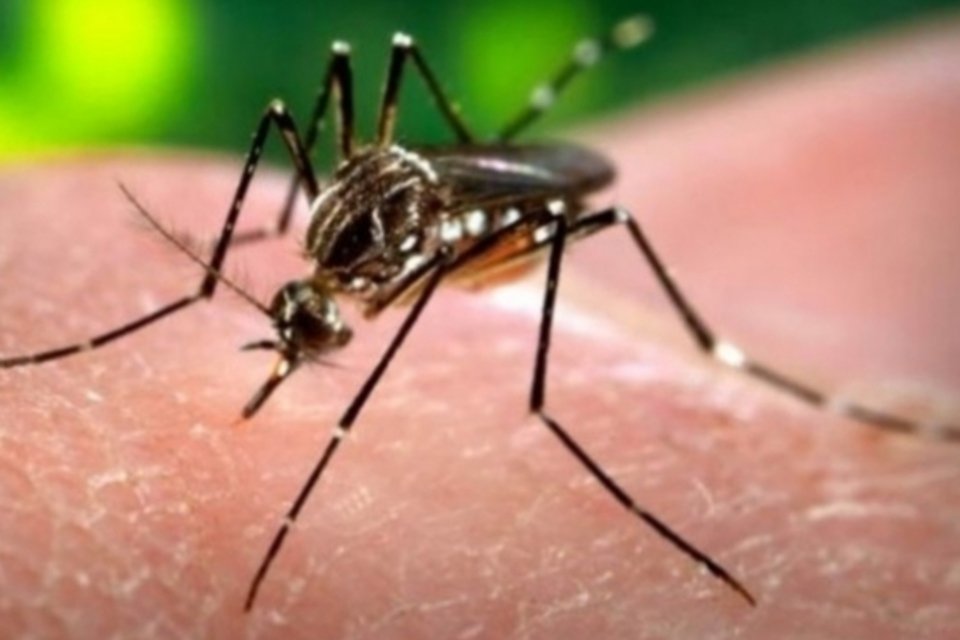Rio entra em alerta para transmissão da dengue
