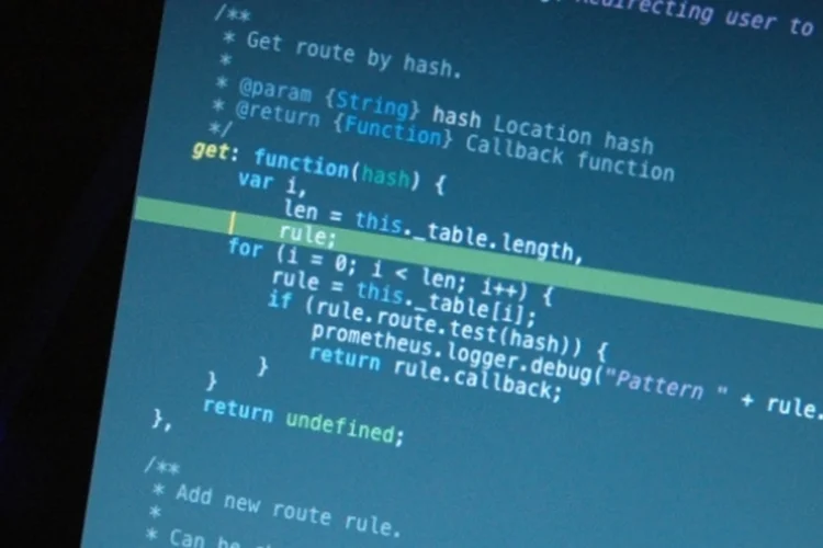 javascript (nyuhuhuu / Flickr)