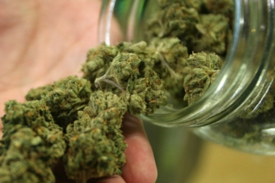 Anvisa aprova uso de derivado da maconha como medicamento