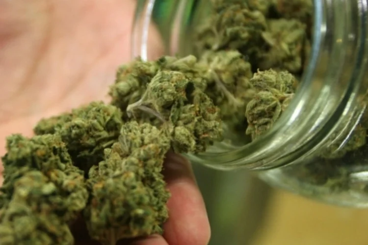 Maconha (Getty Images)