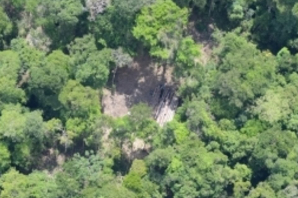Petrobras investiu 110 mi para preservação na Amazônia