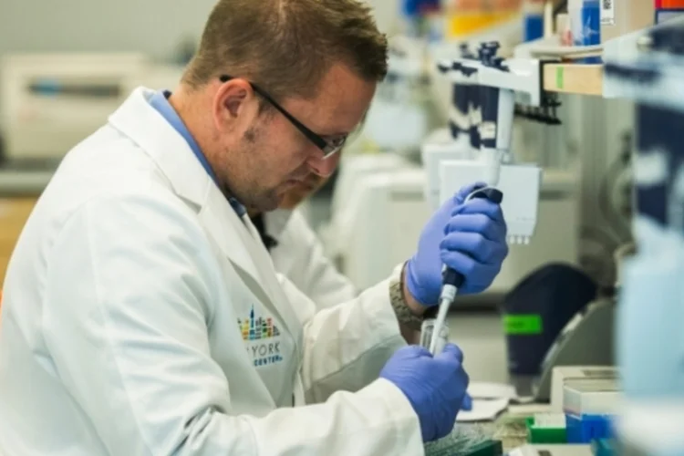 Febre amarela: nova pesquisa sobre a doença teve seus resultados publicados na "Infectious Diseases" (Getty Images/Getty Images)