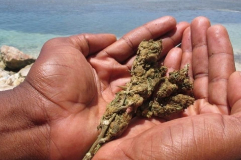 Jamaica avança na descriminalização da maconha